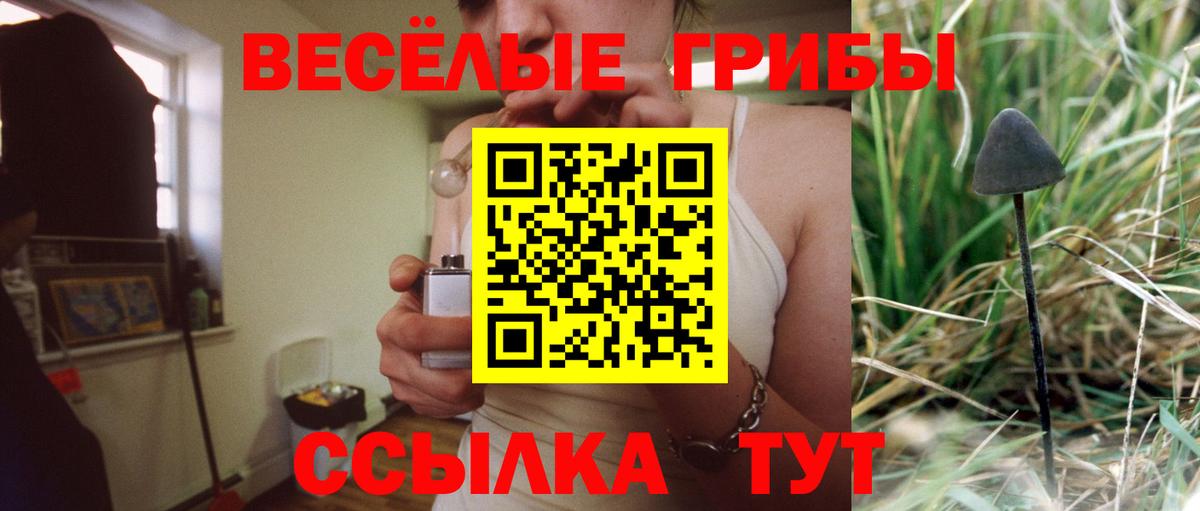 Галлюциногенные грибы ЛСД  Псилоцибиновые грибы прущие грибы  Норильск  продажа наркотиков  Вход с VPN 