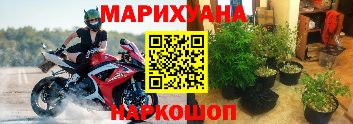Конопля конопля Норильск